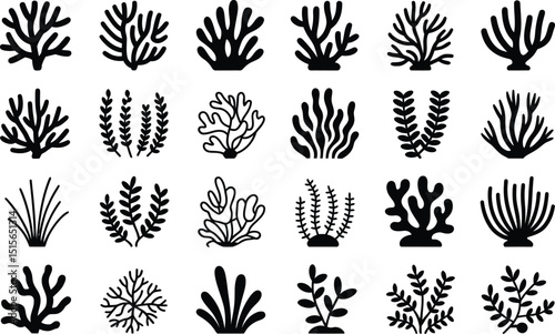 A collection of twenty-one stylized black and white coral reefs and marine plant illustrations for decorative or educational purposes.