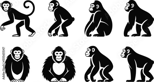 A set of eight stylish black and white monkey silhouettes showcasing various poses and movements for graphic design and illustration