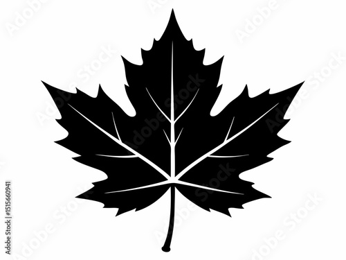 Maple leaf black silhouette vector, maple leaf icon illustration