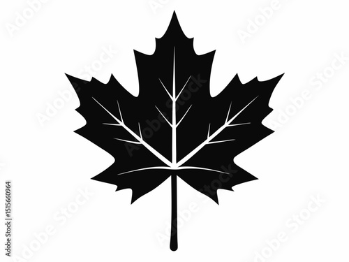 Maple leaf black silhouette vector, maple leaf icon illustration