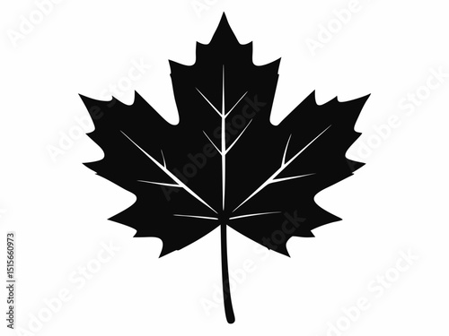 Maple leaf black silhouette vector, maple leaf icon illustration