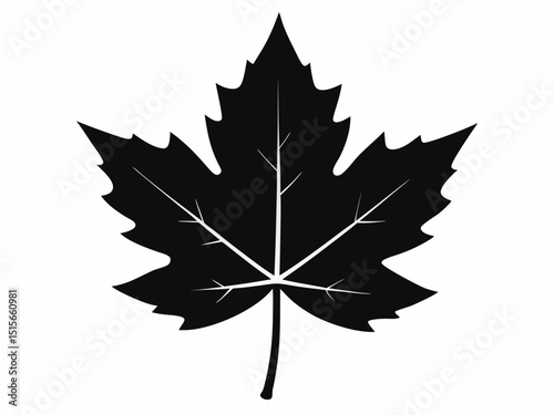 Maple leaf black silhouette vector, maple leaf icon illustration