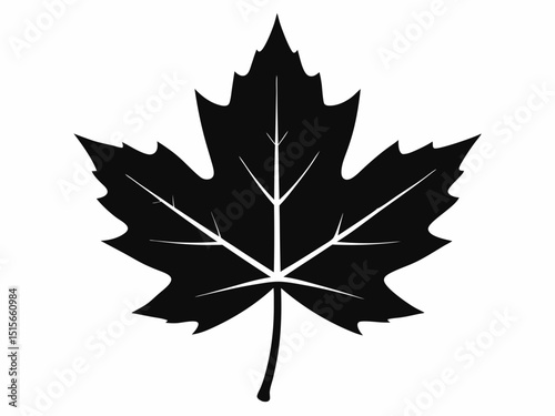 Maple leaf black silhouette vector, maple leaf icon illustration