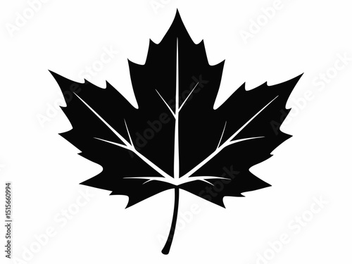 Maple leaf black silhouette vector, maple leaf icon illustration
