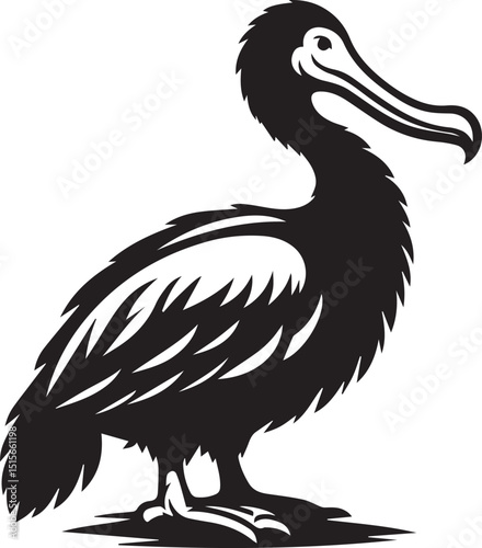 pelican bird vector illustration, pelican bird silhouette vector, pelican bird icon design