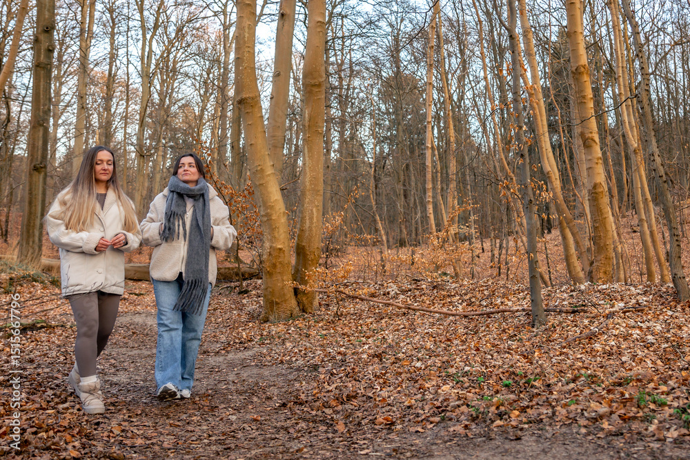 Two women walking in the forest. Forest. Nature. Outdoor recreation. Two women walking in the forest. Forest. Nature. Outdoor recreation.
