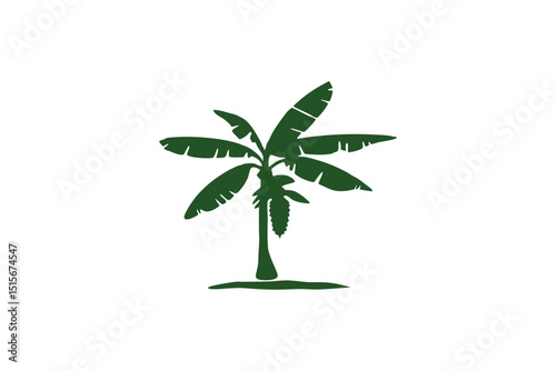 banana tree illustration green leaf vector