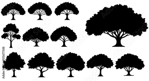 Collection of Black Tree Silhouettes: Various Nature Outline Shapes
