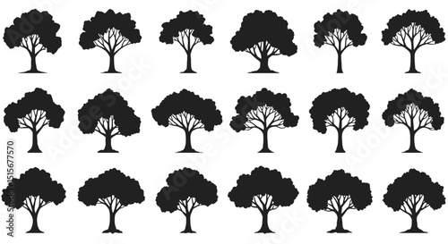 Collection of Black Tree Silhouettes: Various Nature Outline Shapes