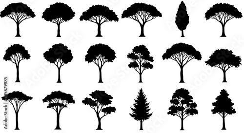 Collection of Black Tree Silhouettes: Various Nature Outline Shapes