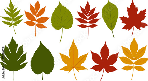 Colorful Autumn Leaves Collection – Seasonal Foliage Design