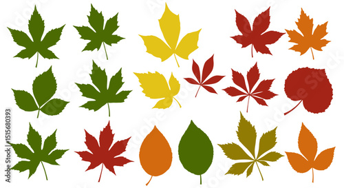 Colorful Autumn Leaves Collection – Seasonal Foliage Design