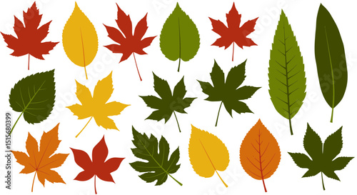 Colorful Autumn Leaves Collection – Seasonal Foliage Design