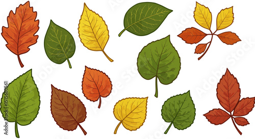 Colorful Autumn Leaves Collection – Seasonal Foliage Design