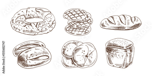 Hand drawn vintage sketch of assorted bread types in monochrome engraving style, bakery food set vector illustration
