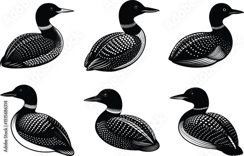 Loon Bird Silhouette Vector Illustration  Set 