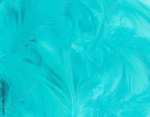 Close-up of many turquoise feathers