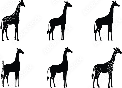 Girafe Silhouette Vector Illustration Design Bundle
