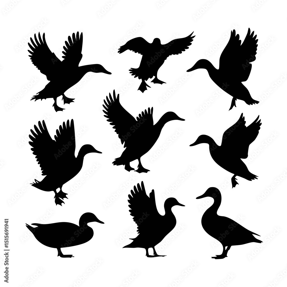 Fototapeta premium Silhouette vector art of flying ducks waterfowl illustration wildlife bird watching avian species nature design