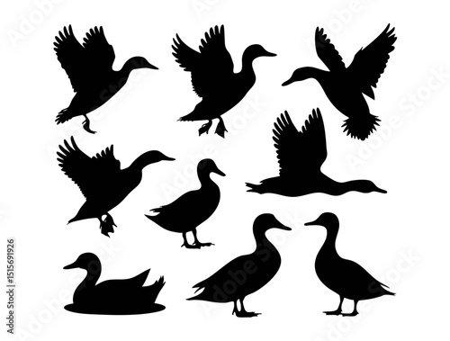 Duck silhouette vector image collection flying swimming standing ducks waterfowl bird illustration graphic design 100