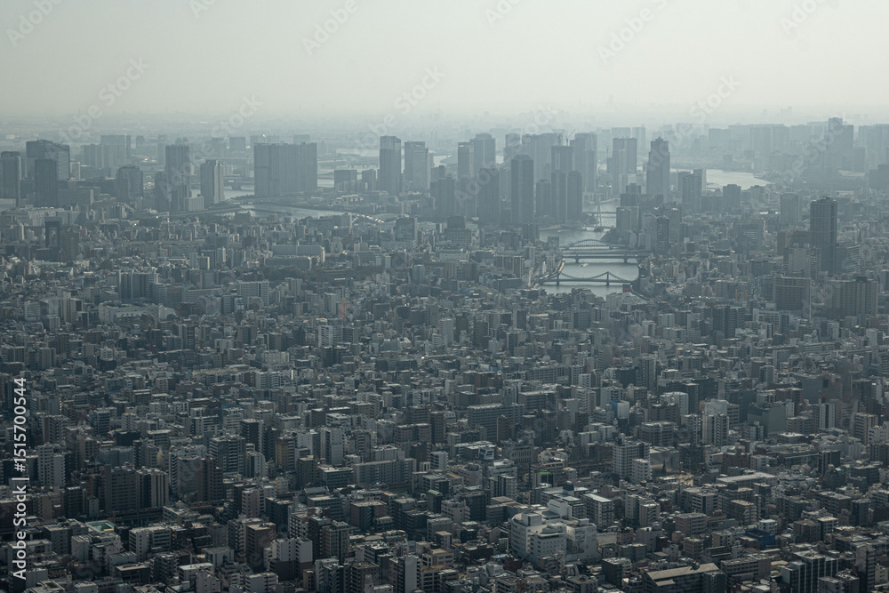 Fototapeta premium The top view or aerial view of the skyline of Tokyo city with a cityscape of highrise buildings on a hazy day at daytime in Japan with space for text.