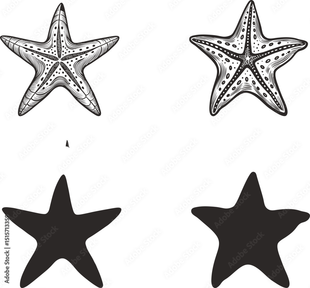 Detailed starfish illustrations and simple star shapes ocean life nautical theme ink sketch black and white engraving monochrome vector illustration and silhouette design Detailed starfish illustrations and simple star shapes ocean life nautical theme ink sketch black and white engraving monochrome vector illustration and silhouette design