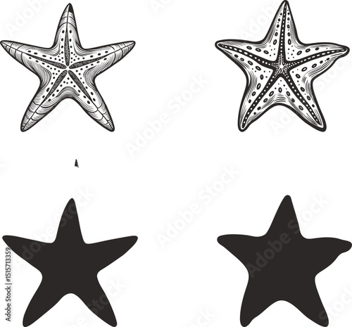 Detailed starfish illustrations and simple star shapes ocean life nautical theme ink sketch black and white engraving monochrome vector illustration and silhouette design