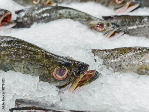 Fresh Fish on Ice at Seafood Market with Natural Colors and Textures