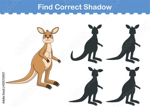Funny cartoon kangaroo. find the correct shadow. Kids Education games. Cartoon vector illustration