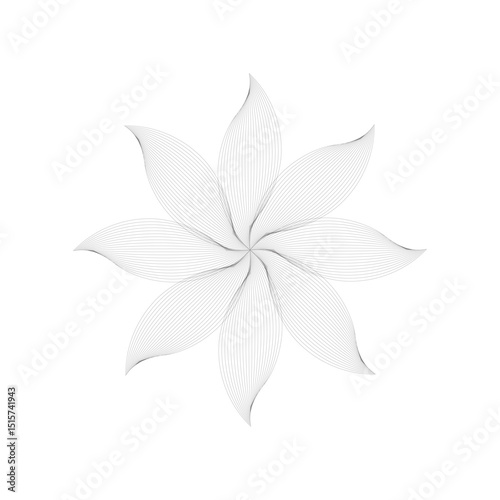 white flower isolated on white