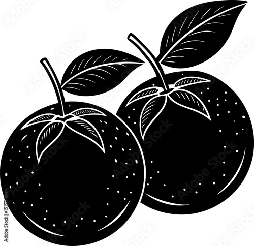 vector illustration of an apple