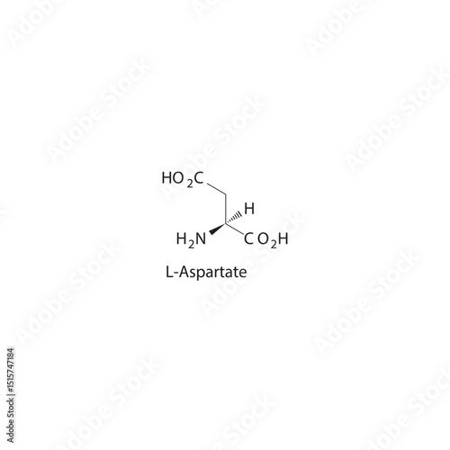 L-Aspartate skeletal formula. Excitatory neurotransmitter compound chemical structure. Simple schematic illustration.