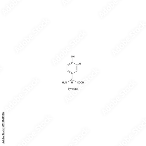 Tyrosine skeletal structure. Amino acid compound schematic illustration. Simple diagram, chemical formula.