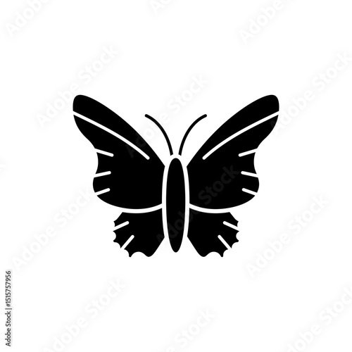 Colorful butterfly with open wings and intricate patterns