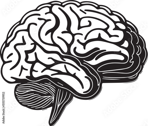 Cartoon Vector Illustration of a Human Brain Sketch