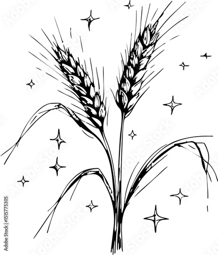 Harvesting wheat a rural agricultural scene growth stage black and white nature artistic perspective