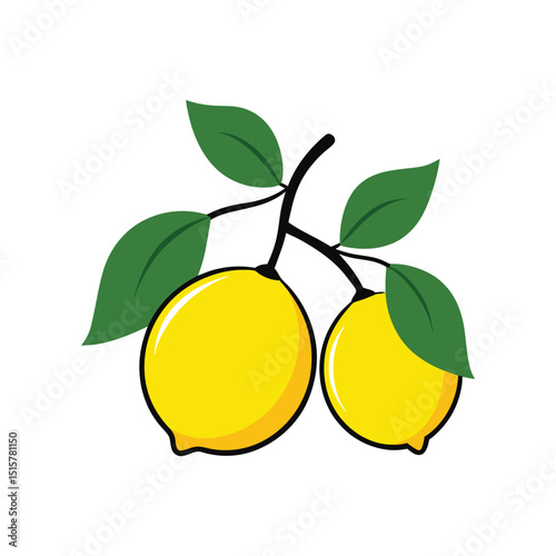 bright vector illustration of two yellow lemons with green leaves on a branch
