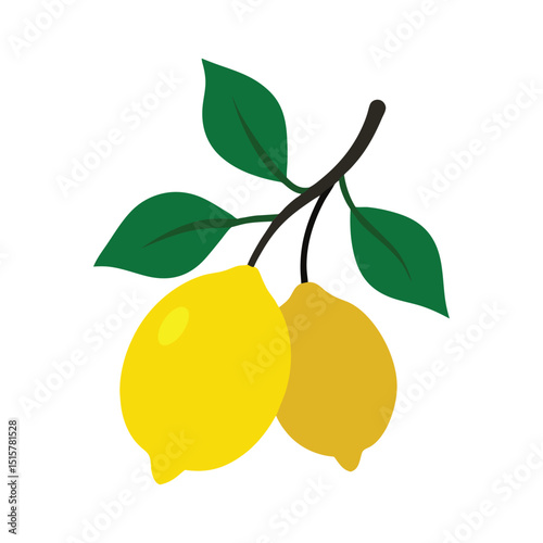 bright vector illustration of two yellow lemons with green leaves on a branch