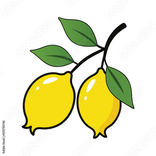 bright vector illustration of two yellow lemons with green leaves on a branch