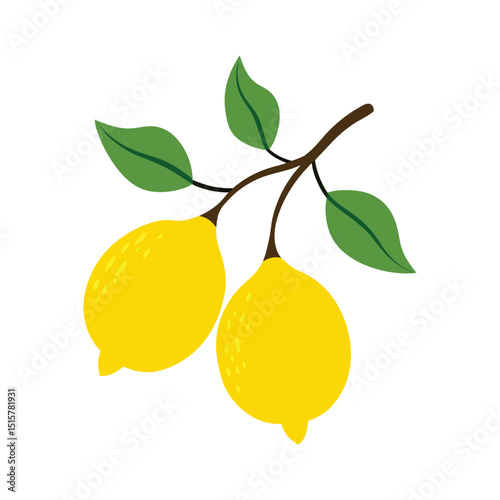 bright vector illustration of two yellow lemons with green leaves on a branch