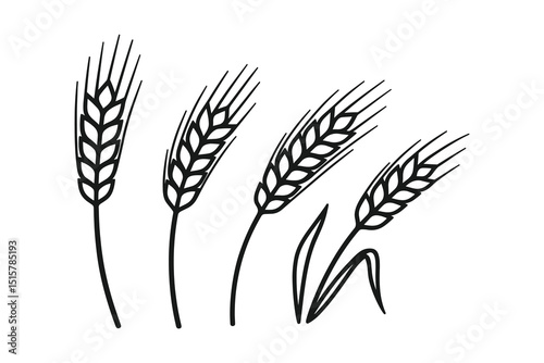 Black Wheat Vector Illustration Agriculture Crop Grain Harvest Symbol Isolated Art