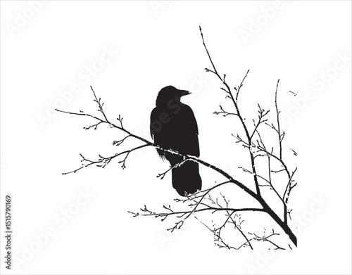 A crow sat on a chilly branch in the Canadian woods during the freezing weather


