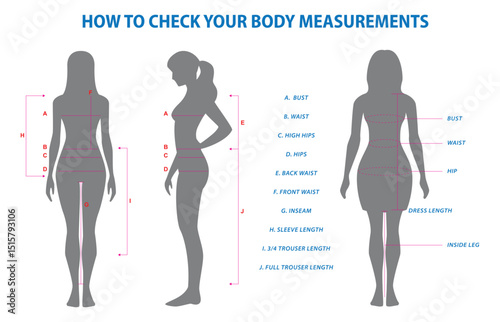 illustration of How to Check Your Body Measurements Guide or How to Check Your Body Measurements for Clothing Fit isolated.