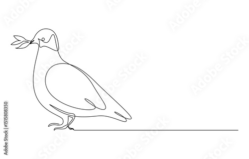 pigeon one continuous line drawing