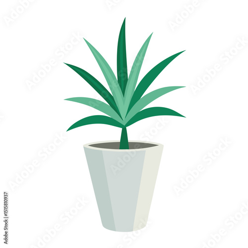 Studio shot of dracaena marginata in white ceramic pot, vertical frame on white background