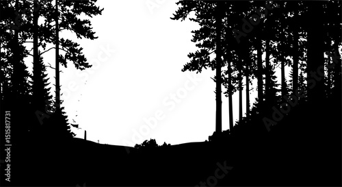 pine forest, silhouette trees, minimalist landscape, monochrome, atmospheric, dramatic shadows, high contrast, digital art
