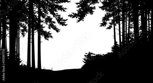 pine forest, silhouette trees, minimalist landscape, monochrome, atmospheric, dramatic shadows, high contrast, digital art
