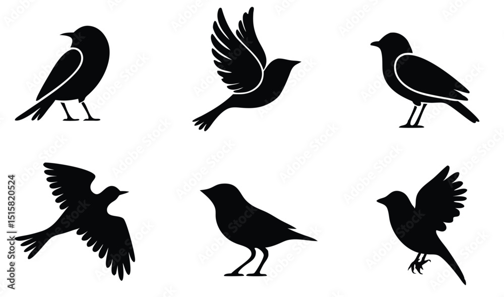 Bird Vector Illustration Set Bird Vector Illustration Set