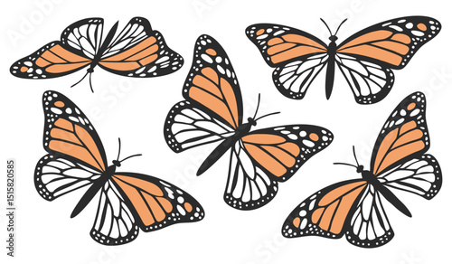 Butterfly Vector, Stylized Butterfly Stencil for Logo or Tattoo Design
