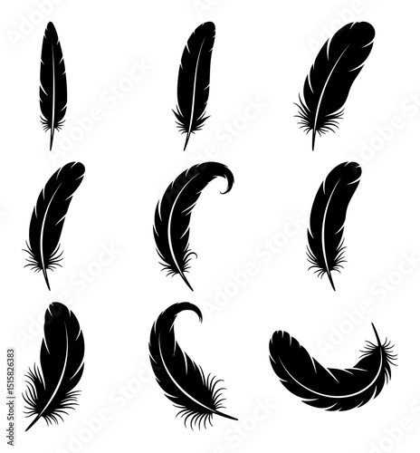 Black fluffy feather. Hand drawing vintage art realistic quill feathers for pen detailed isolated vector elegant silhouette sketch bird plume set